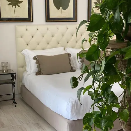 בית הארחה Casa Buonocore 4*
