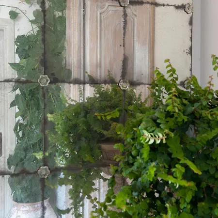 Casa Buonocore פוזיטנו